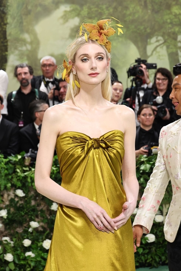 Elizabeth Debicki بمجوهرات  Dior