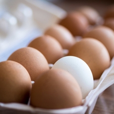 ما منافع البيض الصحيّة؟