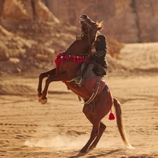 بطولة Richard Mille العُلا بولو الصحراء تختتم فعاليّاتها... والفوز ملكيّ بإمتياز!