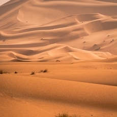 ما لا تعرفينه عن اكبر صحراء في العالم