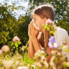 كيف يمكن علاج حساسية الانف بالاعشاب؟