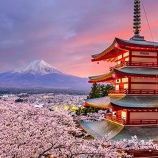 الاماكن السياحية في اليابان ساحرة بكل ما للكلمة من معنى!