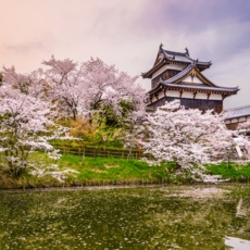ما هو افضل وقت لزيارة اليابان؟