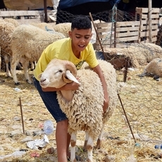 ابرز افكار العيد الاضحى!