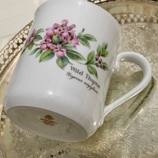 فوائد الزعتر البري للتنحيف... أضيفيه الى نظامك اليومي وتخلصي من الدهون العنيدة!