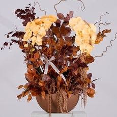 The Flower Society تحتفي بسحر الخريف بتشكيلة زهرية آسرة