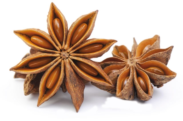 عطر Morning Muscs وتفاصيله