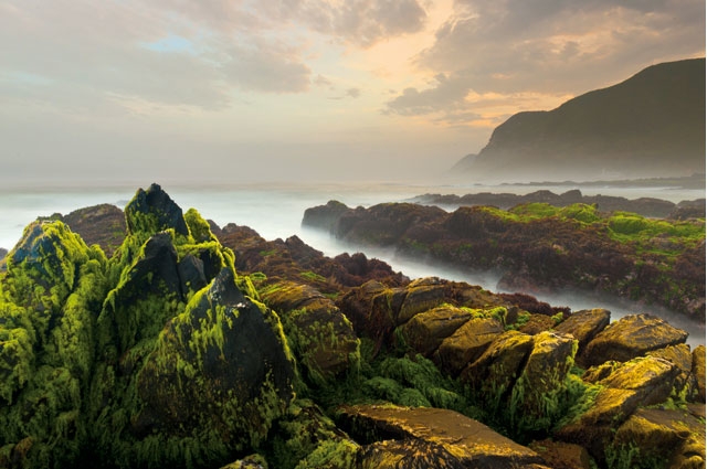 صلالة.. روعة الإقامة في عُمان