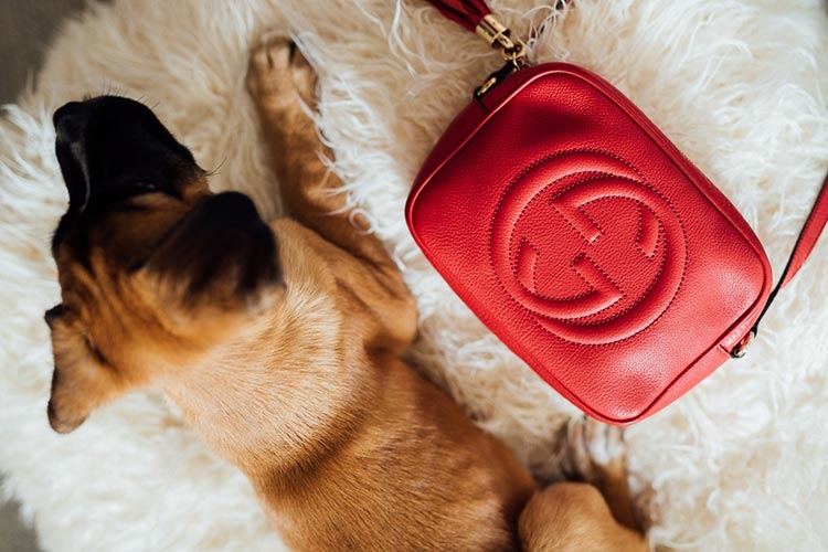 حقيبة صغيرة من Gucci
