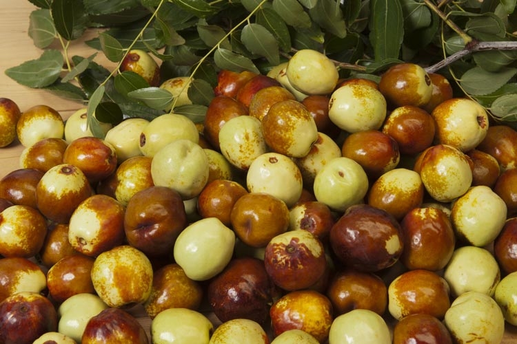 منافع العنّاب الصحيّة