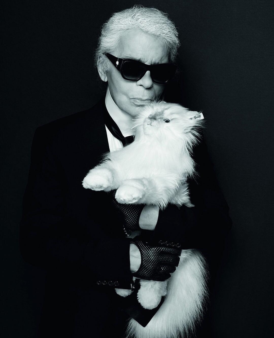 في عيد ميلاده إليك ما عليك معرفته عن Karl Lagerfeld