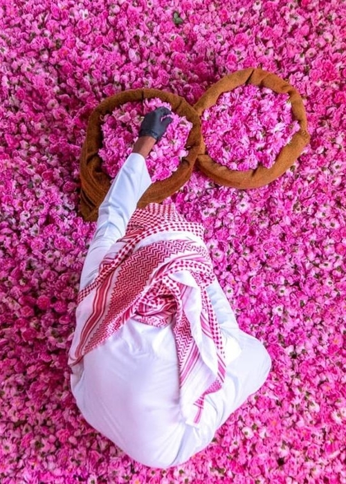 تعرفي على مهرجان ورد الطائف