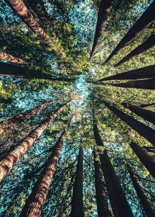 كيف تعيد علاقتنا مع الأرض التوازن إلى حياتنا؟