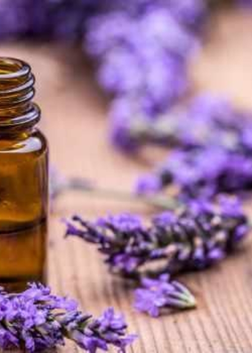 طرق استخدام زيت اللافندر للشعر
