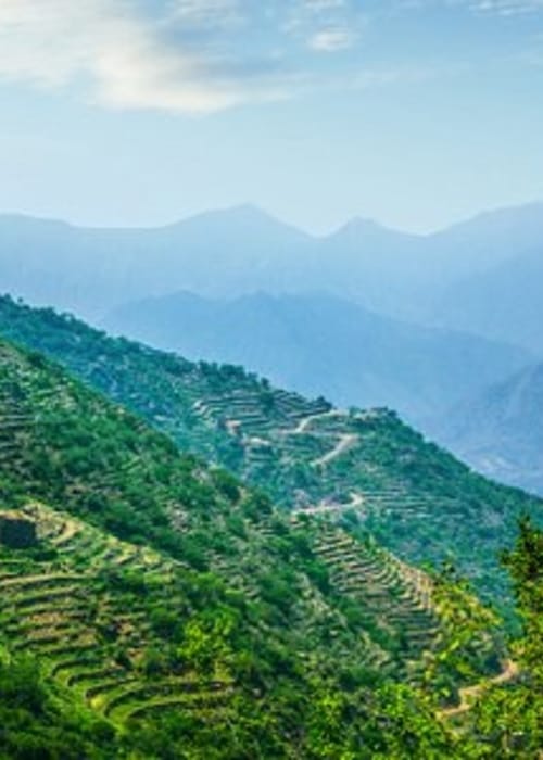 تعرفي إلى أكثر عناصر الجذب في جازان السعودية