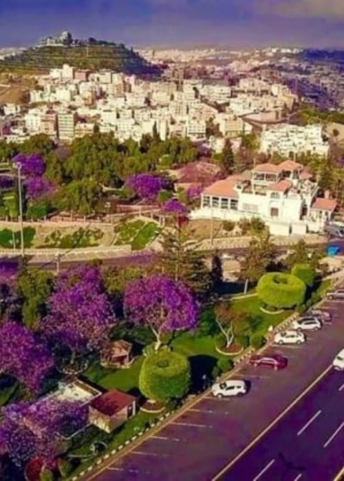 لممارسة الرياضة إليك اماكن تمشية في ابها!