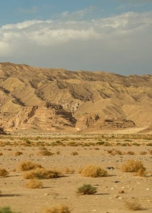 اكتشفي المزيد عن أكبر هضبة في المملكة العربية السعودية