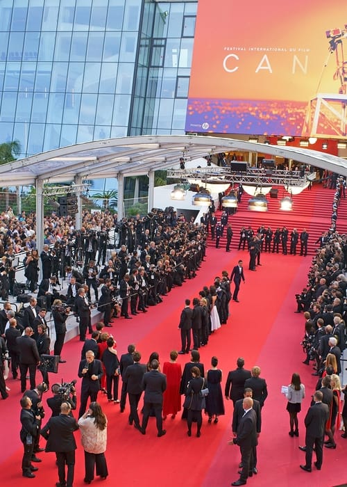 “وداعًا جوليا” إلى مهرجان Cannes السينمائي الدولي !