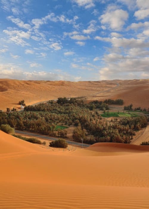 بم تتميز مدينة الاحساء؟