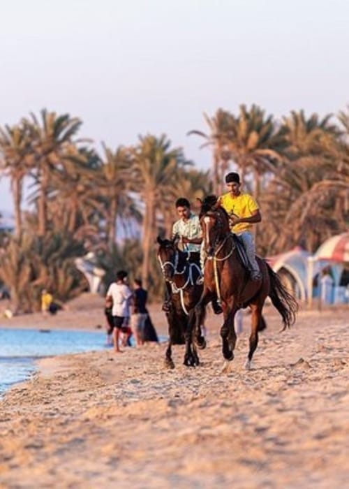 أهم شواطىء أملج لعطلة هادئة
