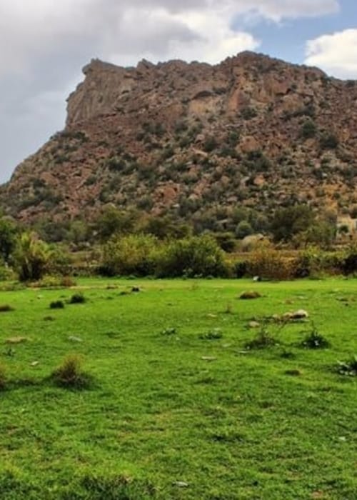 اين تقع بلجرشي؟