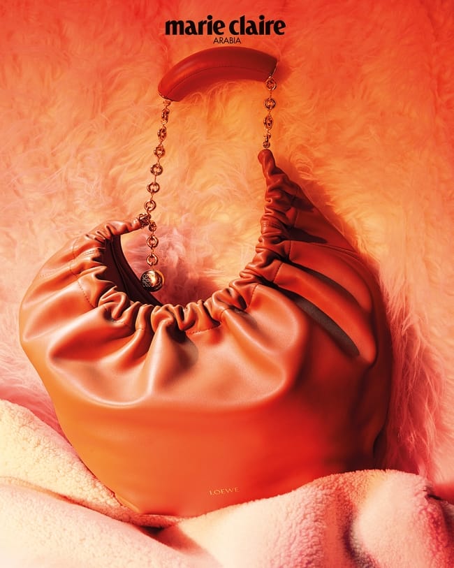 Dreamer’s Pillow:حقيبة Squeeze من الجلد الناعم مع سلسة من Loewe