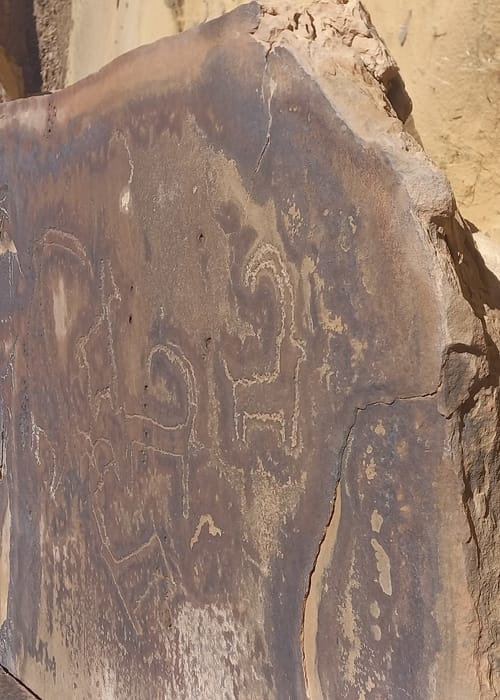 النقوش الصخرية في المملكة العربية السعودية اين نجدها؟