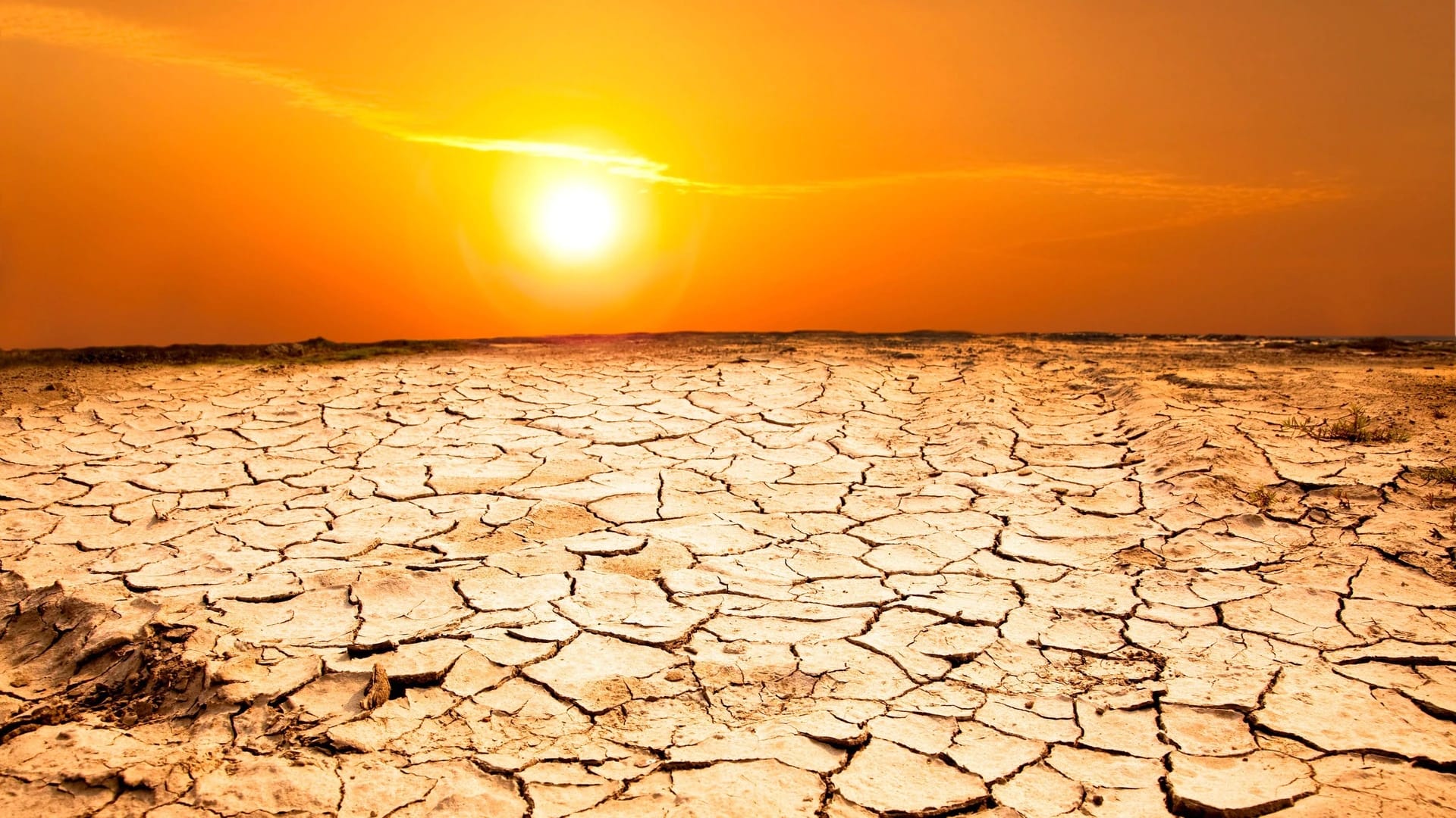 شهر سبتمبر 2023 الأكثر حرّاً على الإطلاق!