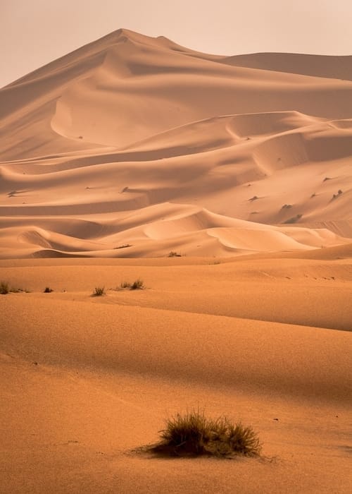 ما لا تعرفينه عن اكبر صحراء في العالم