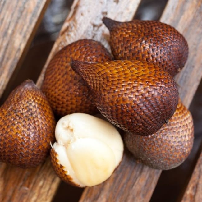 Snake Fruit – From Sumatra and Java Islands
