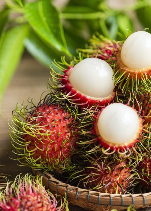 اغرب انواع الفواكه واسمائها