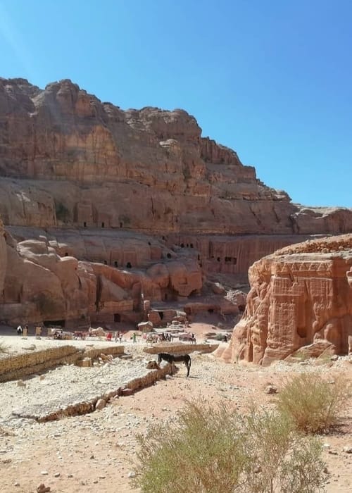 البتراء الاردن لماذا عليك زيارتها؟