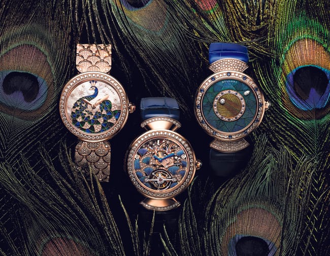 Divas’ Dream Peacock Dia