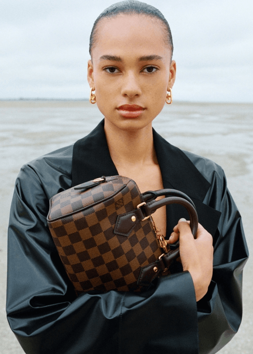 اجدد شنط Louis Vuitton صغيره