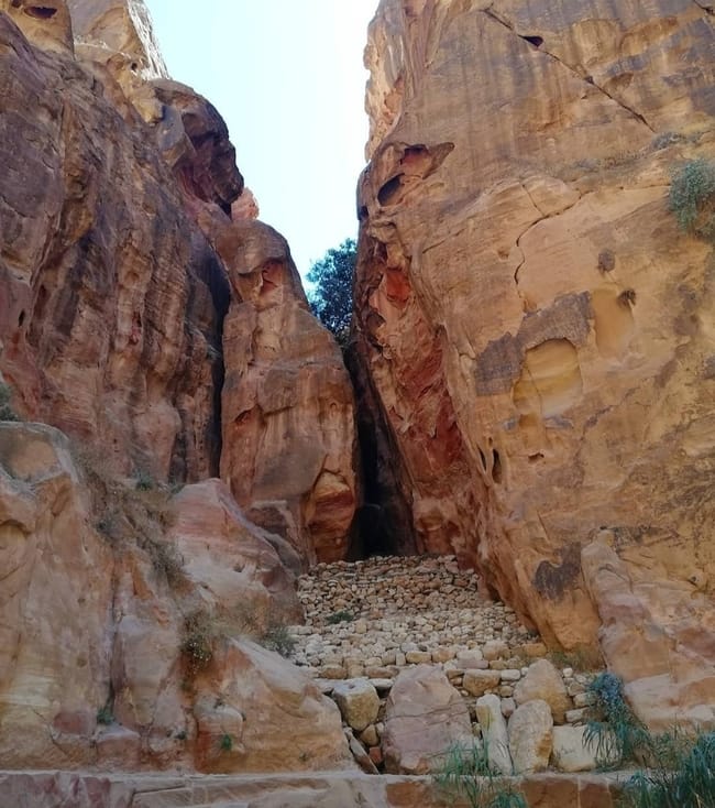 صورة 5