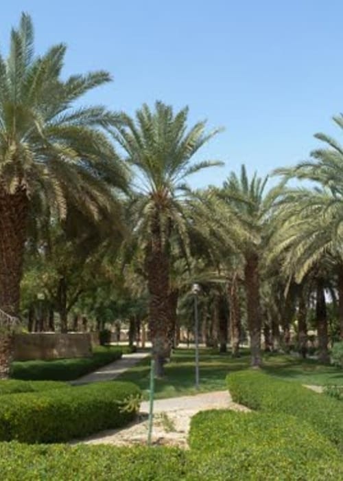 قرية النخيل المدينة المنورة عنوان سياحي مميز