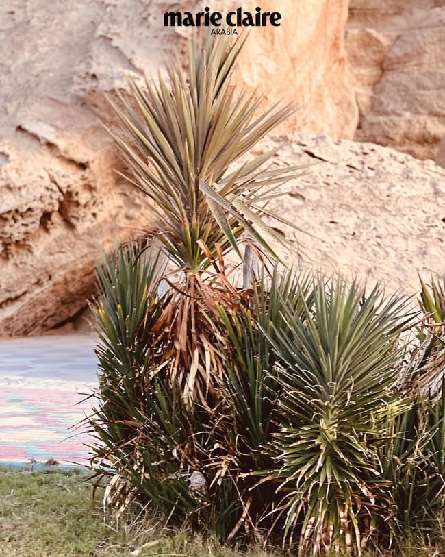 MCxNour&-Haya5.jpg