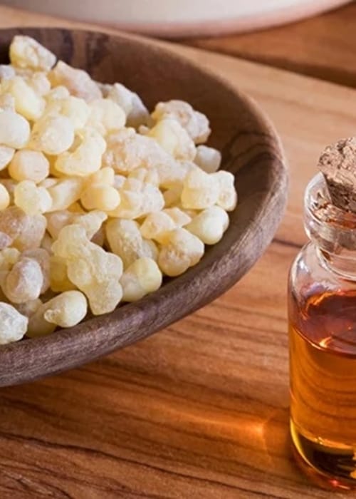 مدة صلاحية منقوع لبان الذكر في الثلاجة