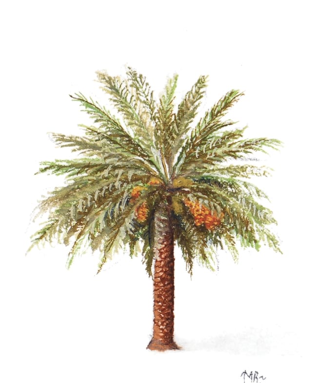 صورة 6