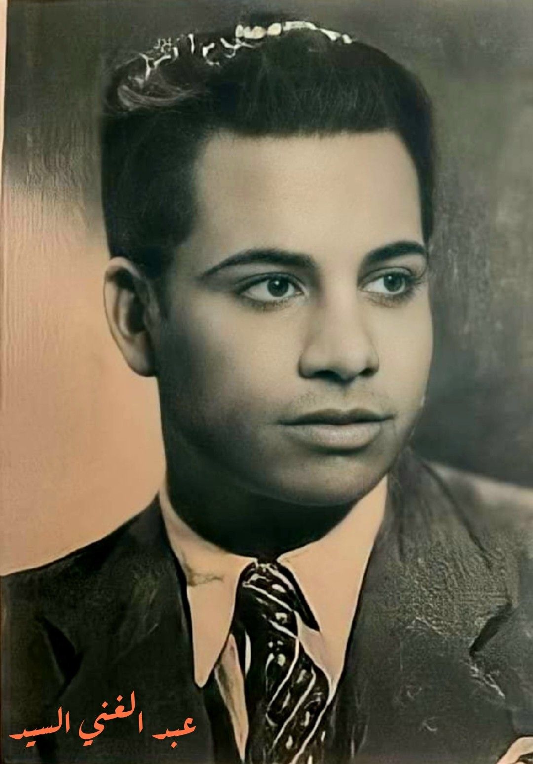 عبد الغني السيد