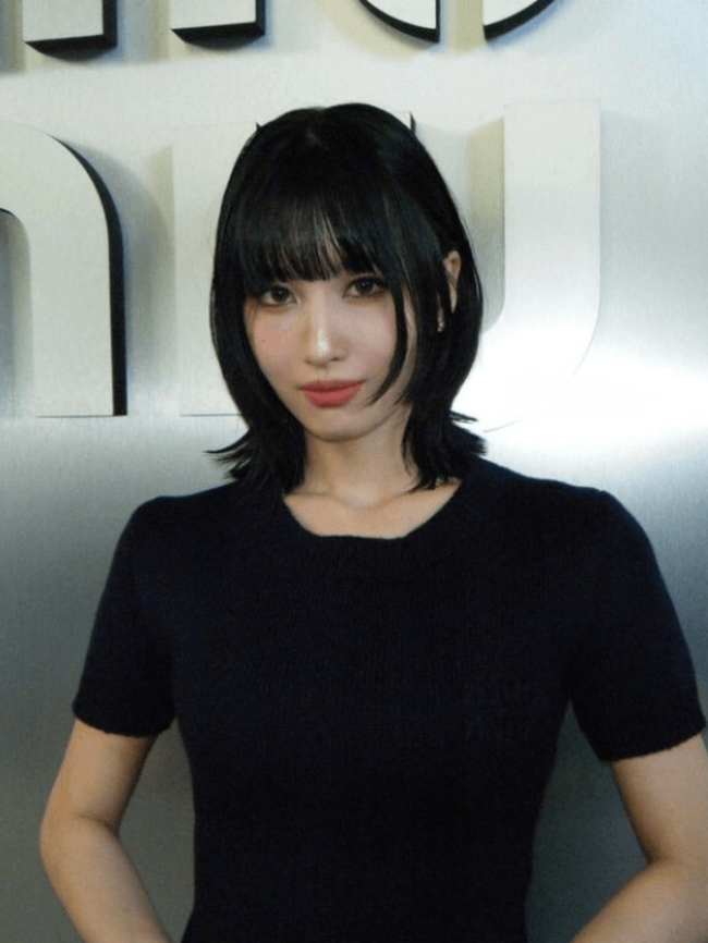 قصة  Momo’s Jellyfish Cut