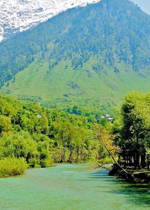 غابات الهند… كنوز طبيعية تزخر بالتنوع والجمال!