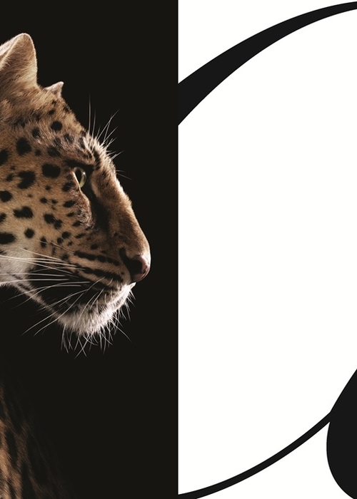 Cartier تحتفي بالبانتير The Panther في عرض عالمي