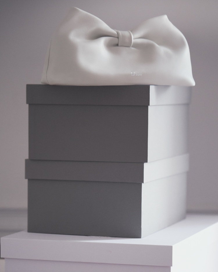 Dior تطلق حقيبة Dior Bow: تحفتها الجديدة لربيع وصيف 2026