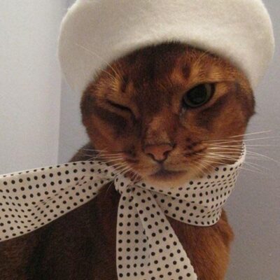 تنسيق قبعة البيريه مع الإطلالات اليومية