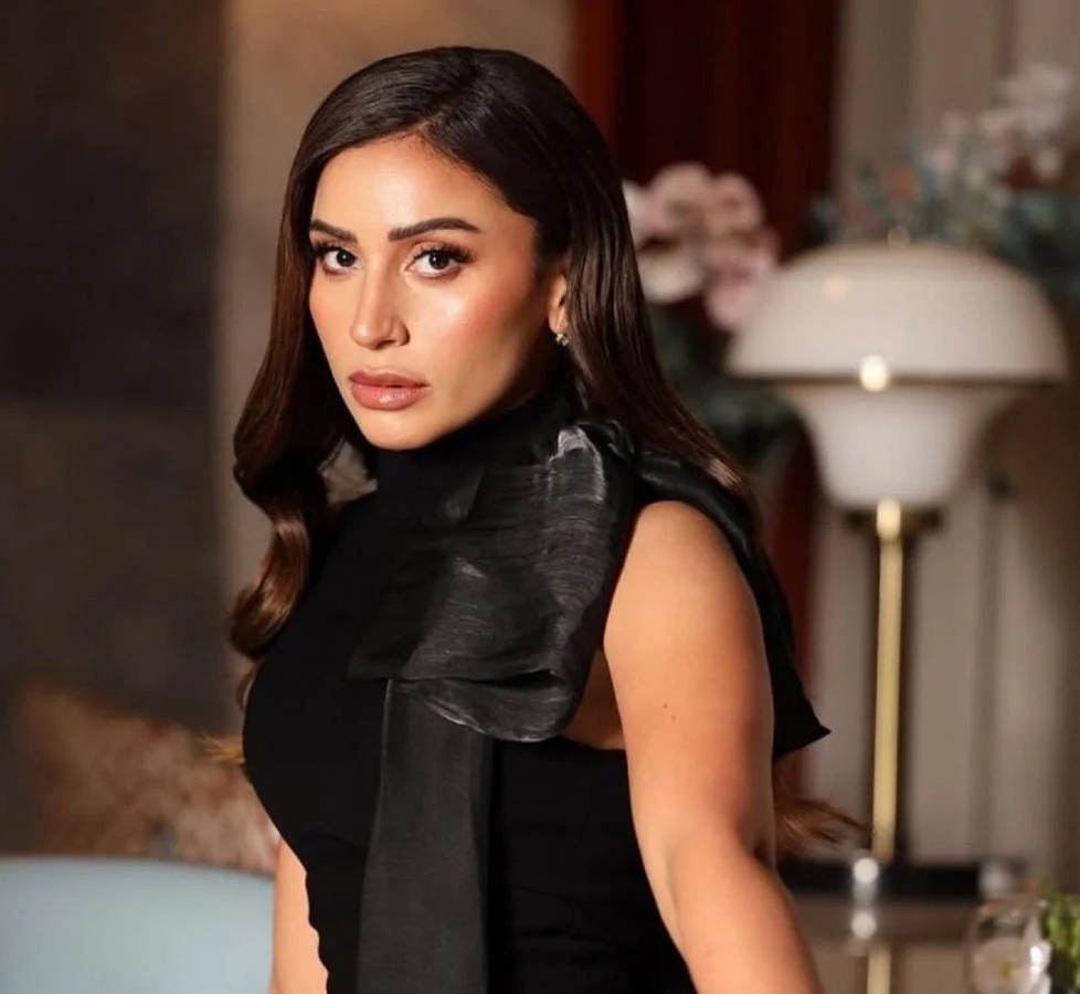 معلومات عن امكانية مشاركة دينا الشربيني في فيلم الفيل الأزرق 3