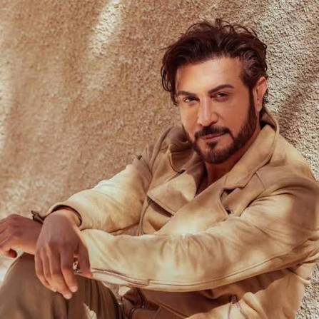 ماجد المهندس
